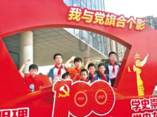 救援可爱小猪仔
